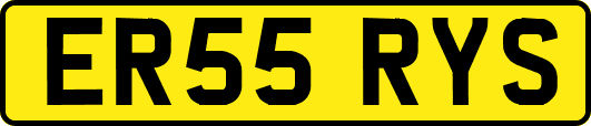 ER55RYS