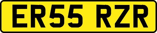 ER55RZR