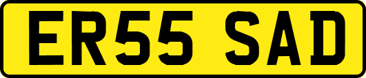 ER55SAD