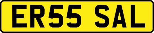 ER55SAL