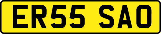 ER55SAO