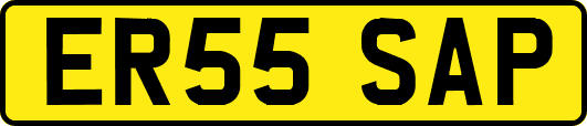 ER55SAP