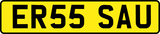 ER55SAU