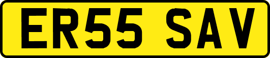 ER55SAV
