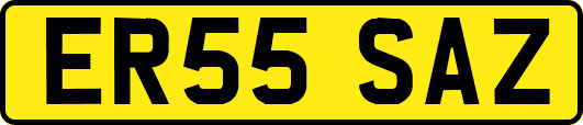 ER55SAZ
