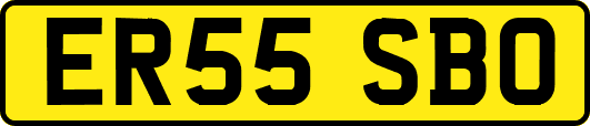 ER55SBO
