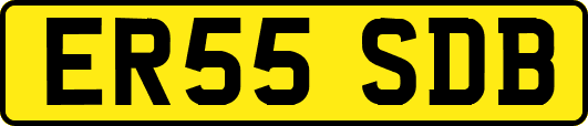 ER55SDB