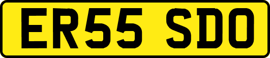 ER55SDO
