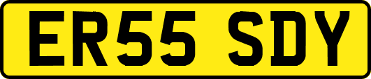 ER55SDY