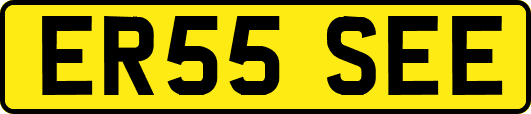 ER55SEE