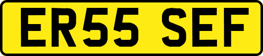 ER55SEF
