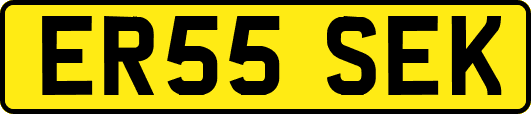 ER55SEK