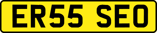 ER55SEO