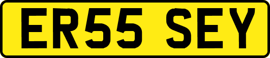 ER55SEY