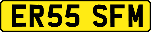 ER55SFM