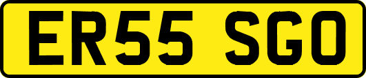 ER55SGO