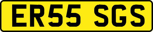 ER55SGS
