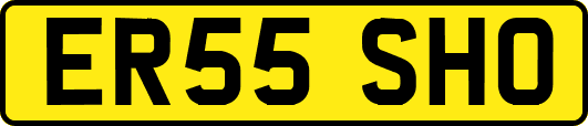 ER55SHO