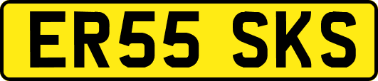 ER55SKS