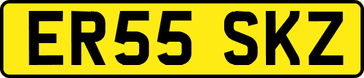 ER55SKZ