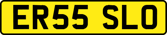ER55SLO