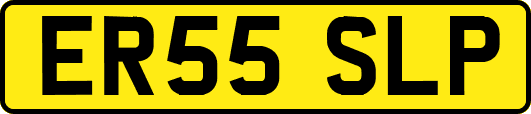 ER55SLP