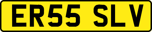 ER55SLV