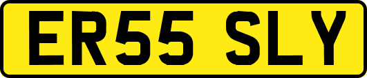 ER55SLY