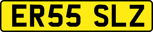 ER55SLZ