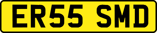 ER55SMD