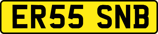 ER55SNB