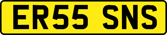 ER55SNS