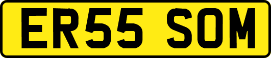 ER55SOM