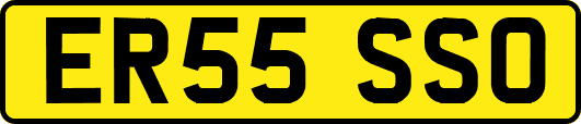 ER55SSO
