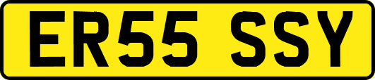 ER55SSY