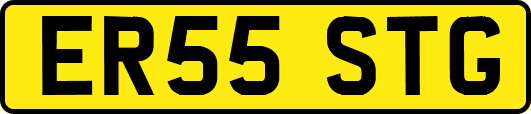 ER55STG