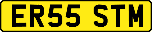 ER55STM