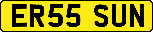 ER55SUN