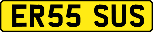 ER55SUS