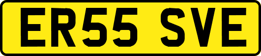 ER55SVE
