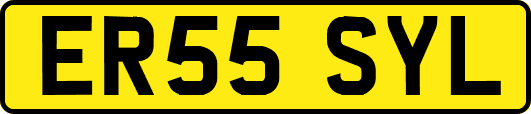 ER55SYL