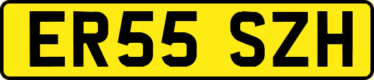 ER55SZH