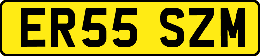 ER55SZM