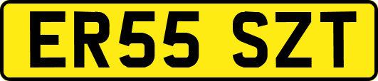 ER55SZT