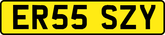 ER55SZY