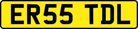 ER55TDL