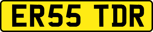 ER55TDR