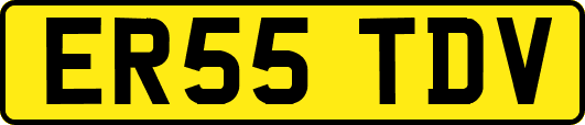 ER55TDV