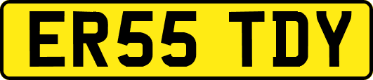 ER55TDY
