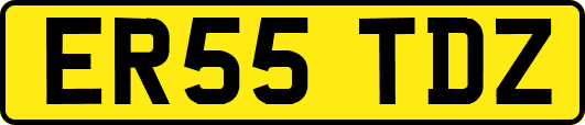 ER55TDZ
